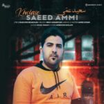 دانلود آهنگ جدید سعید عمی خلاصه
