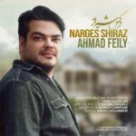 دانلود آهنگ جدید احمد فیلی نرگس شیراز