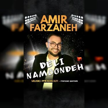 دانلود آهنگ جدید امیر فرزانه دلی نمونده