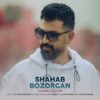 دانلود آهنگ جدید شهاب بزرگان جانیم گوزوم
