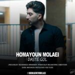 دانلود آهنگ جدید همایون مولایی دسته گل