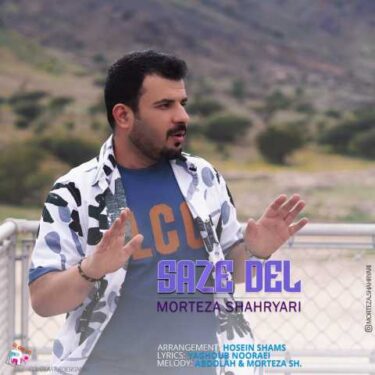 دانلود آهنگ جدید مرتضی شهریاری ساز دل