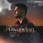 دانلود آهنگ جدید حسین احمدی دیوانه جان