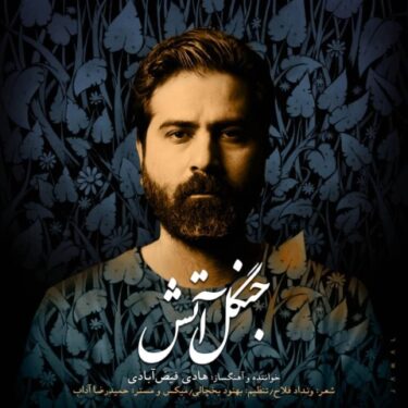 دانلود آهنگ جدید هادی فیض آبادی جنگل آتش