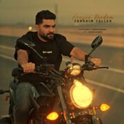 دانلود آهنگ جدید ابراهیم فلاح آرزو کردم