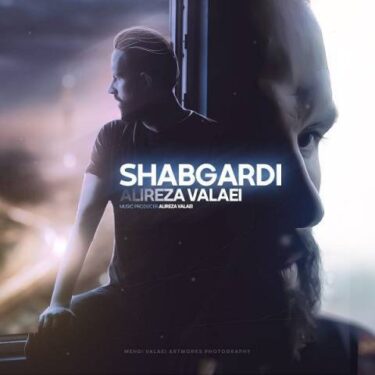 دانلود آهنگ جدید علیرضا ولایی شبگردی