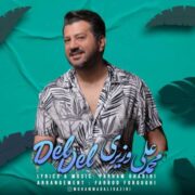 دانلود آهنگ جدید محمد علی وزیری دل دل
