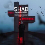 دانلود آهنگ جدید پاشا پارسا شب
