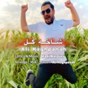 دانلود آهنگ جدید علی حق پناه شاخه گل