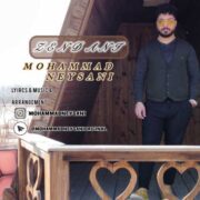 دانلود آهنگ جدید محمد نیسانی زندانی