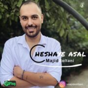 دانلود آهنگ جدید مجید سلطانی چشمای عسل