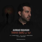 دانلود آهنگ جدید احمد ماهیان تنها نرو