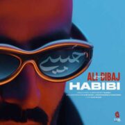 دانلود آهنگ جدید علی دیباج حبیبی