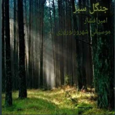 دانلود آهنگ جدید امیر افشار جنگل سبز