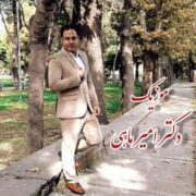 دانلود آهنگ جدید امیر ماهی یاریم