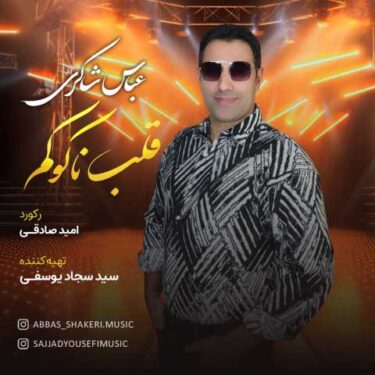 دانلود آهنگ جدید عباس شاکری قلب ناکوکم