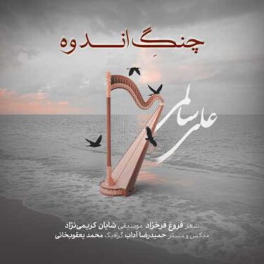 دانلود آهنگ جدید علی سالمی چنگ اندوه
