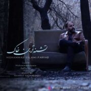 دانلود آهنگ جدید محمد اسلامی (فریاد) تشنه ترین خاک