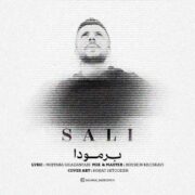 دانلود آهنگ جدید سالی برمودا