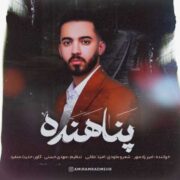 دانلود آهنگ جدید امیر رادمهر پناهنده