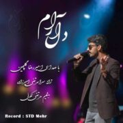 دانلود آهنگ جدید امیررضا گلچین دل آرام