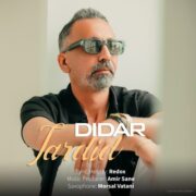 دانلود آهنگ جدید دیدار تردید