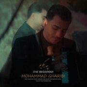 دانلود آهنگ جدید محمد غریبی چه بگویم