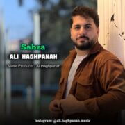 دانلود آهنگ جدید علی حق پناه سبزه