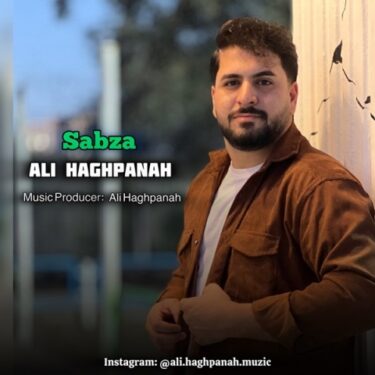 دانلود آهنگ جدید علی حق پناه سبزه