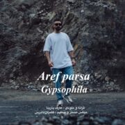 دانلود آهنگ جدید عارف پارسا ژیپسوفیلا
