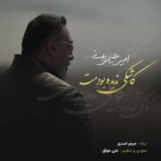 دانلود آهنگ جدید امیر علیمردانی کاشکی ندیده بودمت