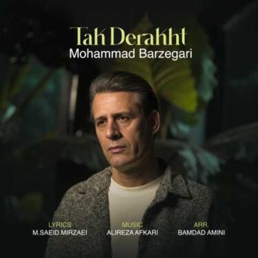 دانلود آهنگ جدید محمد برزگری تک درخت
