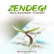 زندگی
