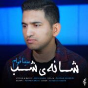 دانلود آهنگ جدید سینا قوام شانه ی شب