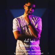 دانلود آهنگ جدید سعید براری تنها گناه