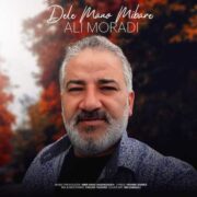 دانلود آهنگ جدید علی مرادی دل منو میبره