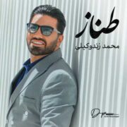 دانلود آهنگ جدید محمد زندوکیلی طناز