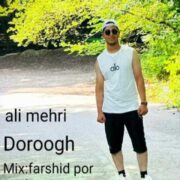 دانلود آهنگ جدید علی مهری دروغ