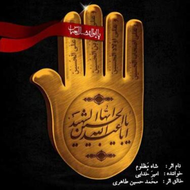 دانلود آهنگ جدید امیر خدایی شاه مظلوم