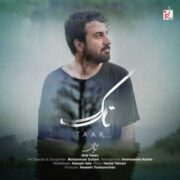 دانلود آهنگ جدید آریا وطن تاک