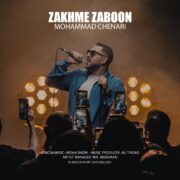 دانلود آهنگ جدید محمد چناری زخم زبون