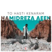 دانلود آهنگ جدید حمیدرضا آیین تو هستی کنارم