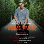 دانلود آهنگ جدید مهدی موسوی گوله نمک