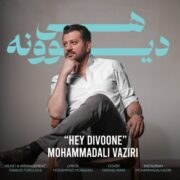 دانلود آهنگ جدید محمد علی وزیری هی دیوونه