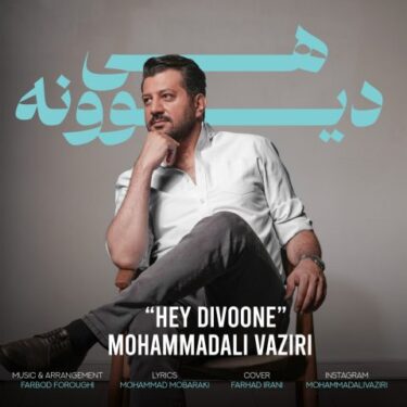 دانلود آهنگ جدید محمد علی وزیری هی دیوونه
