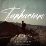 دانلود آهنگ جدید رضا ذاکری تنهاییام