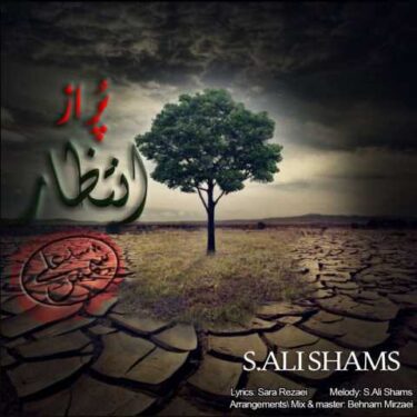 دانلود آهنگ جدید سید علی شمس پر از انتظار 
