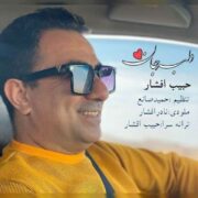 دانلود آهنگ جدید حبیب افشار دلبر جان