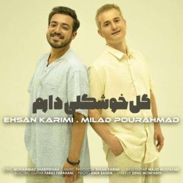 دانلود آهنگ جدید میلاد پور احمد و احسان کریمی گل خوشگلی دارم