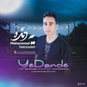 محمد نبی زاده یه دنده